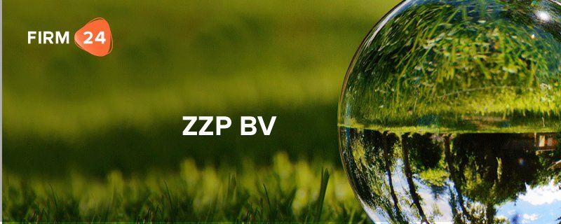 ZZP BV - Onverstandige constructie of slimme fiscale truc?