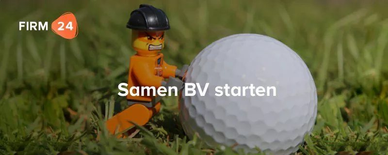 Ben je DGA of aandeelhouder? Wil je samenwerken in een BV?